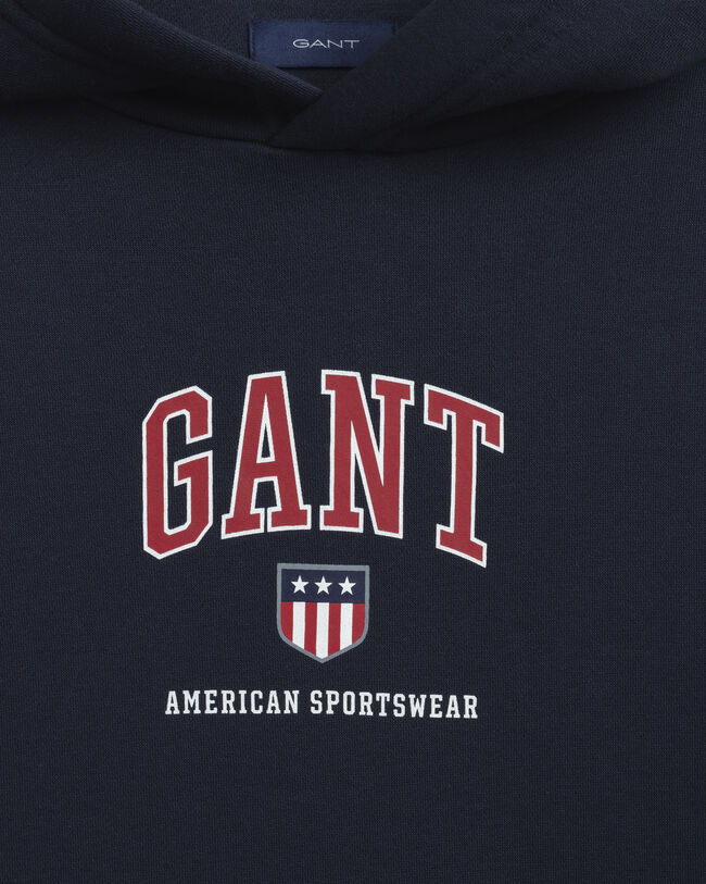 Teens Retro Shield hoodie