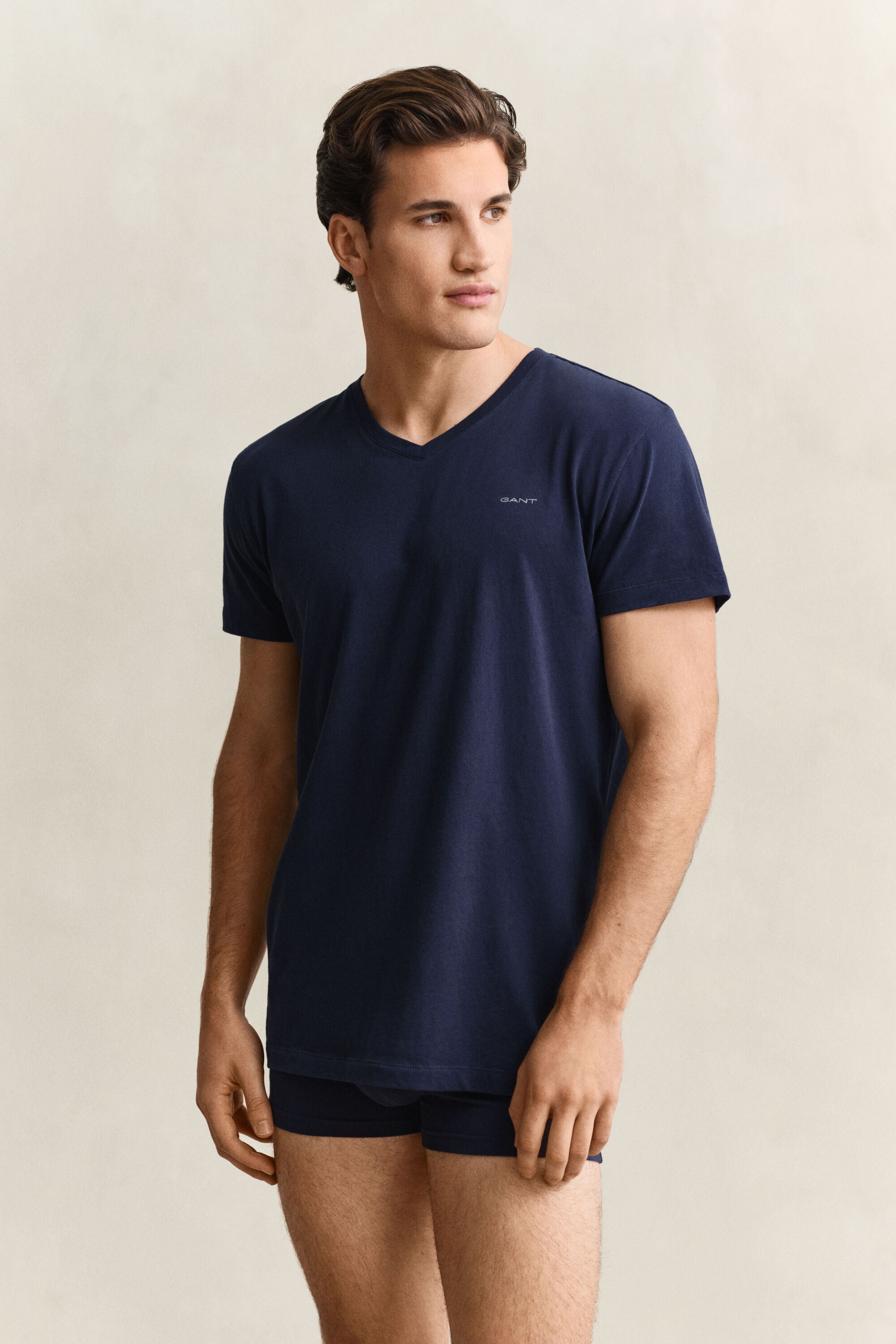 Tvåpack V-ringade T-shirtar