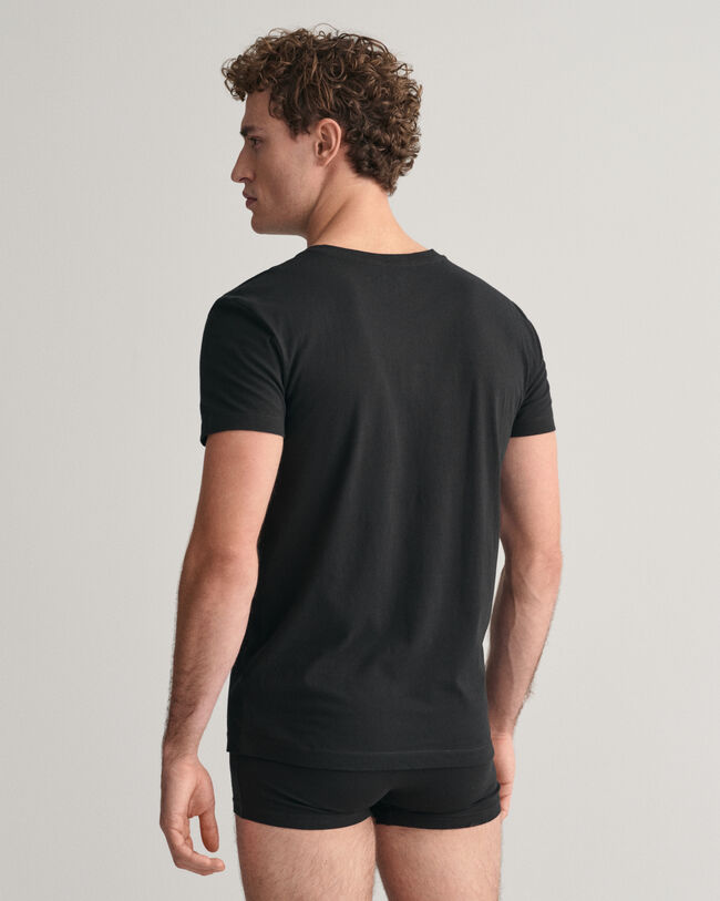 Tvåpack V-ringade T-shirtar