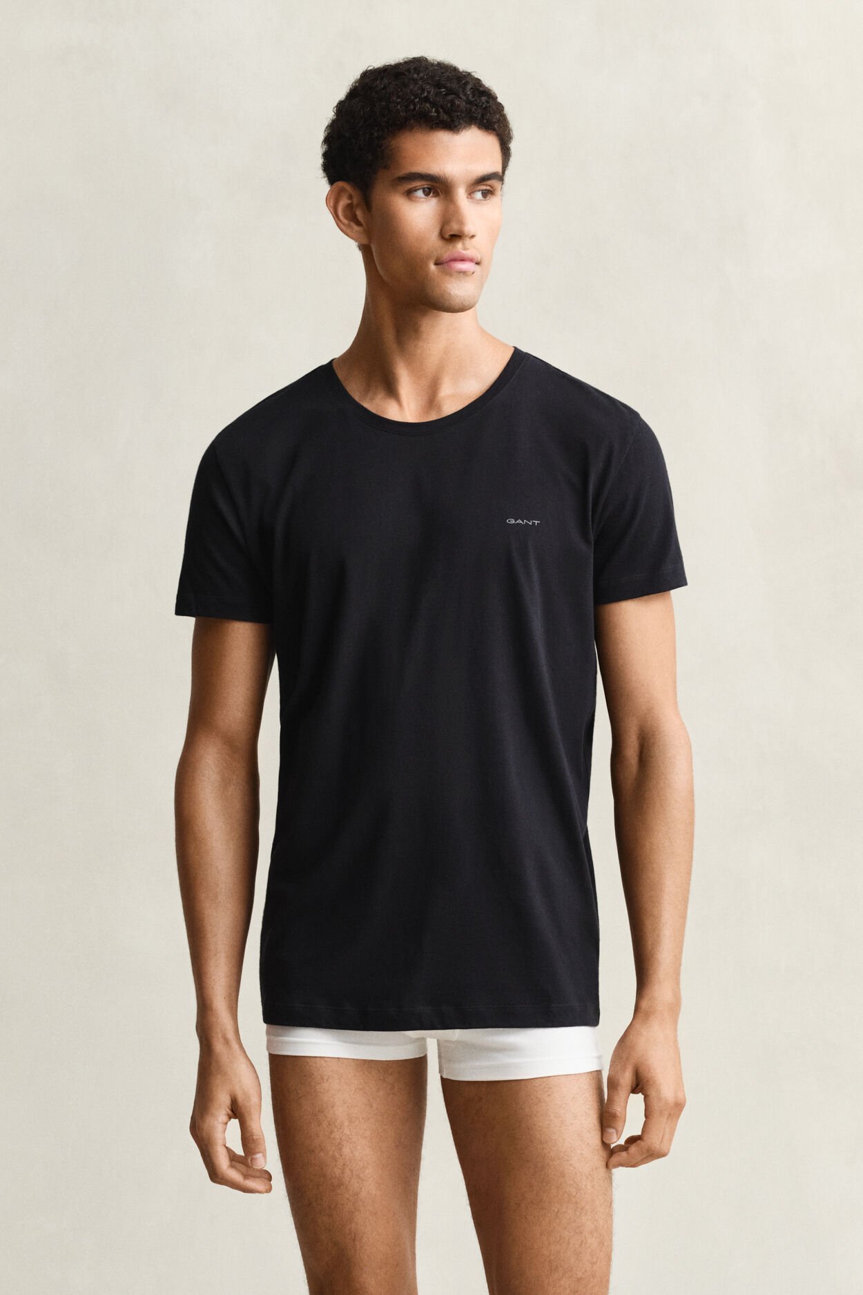 Tvåpack rundhalsade T-shirtar