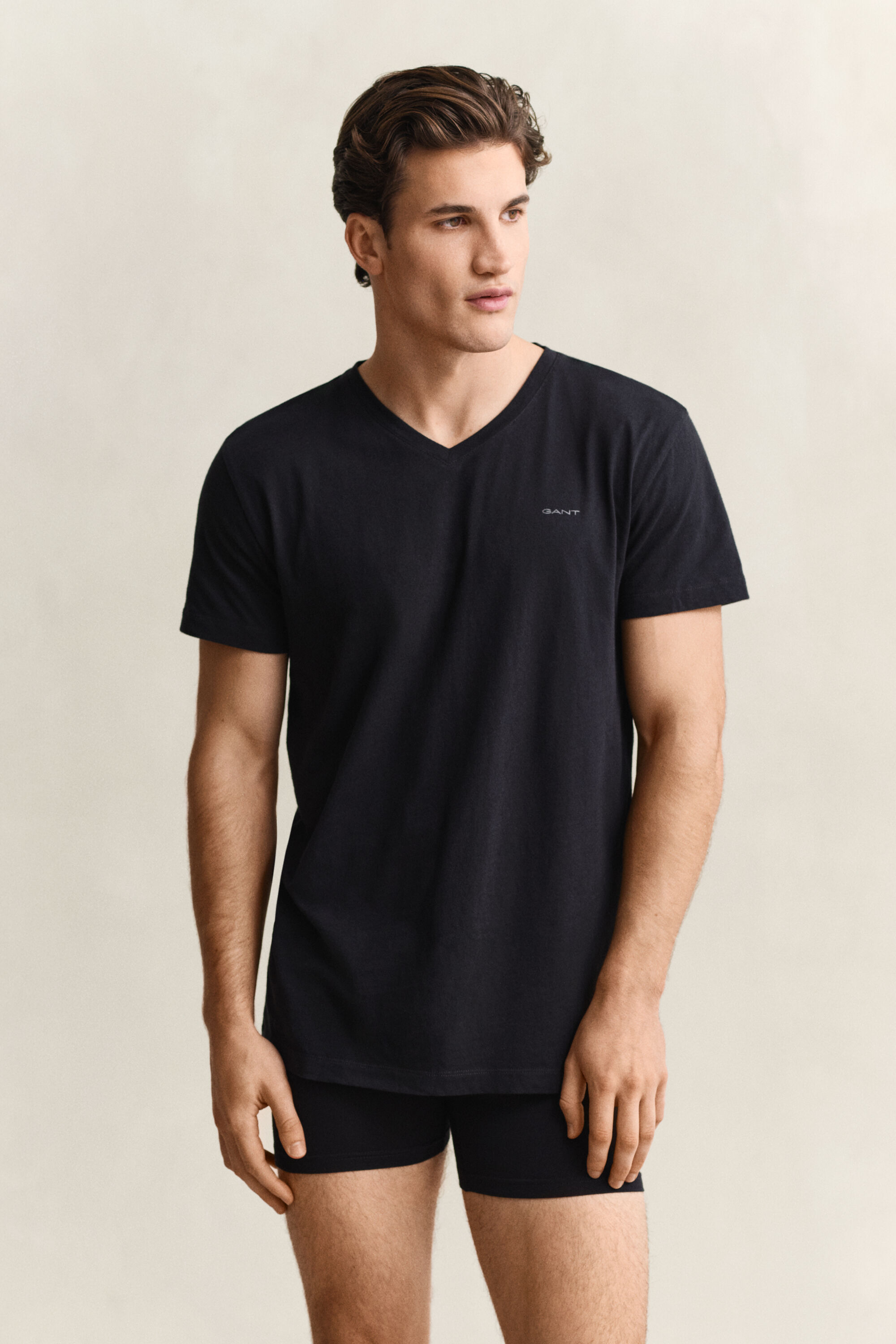 Tvåpack V-ringade T-shirtar