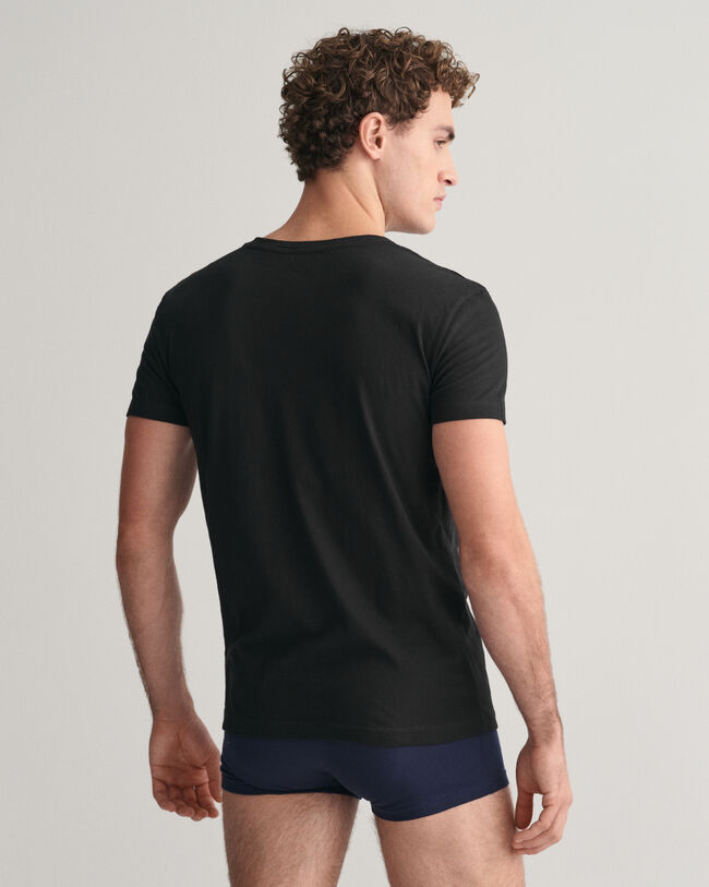 Tvåpack V-ringade T-shirtar