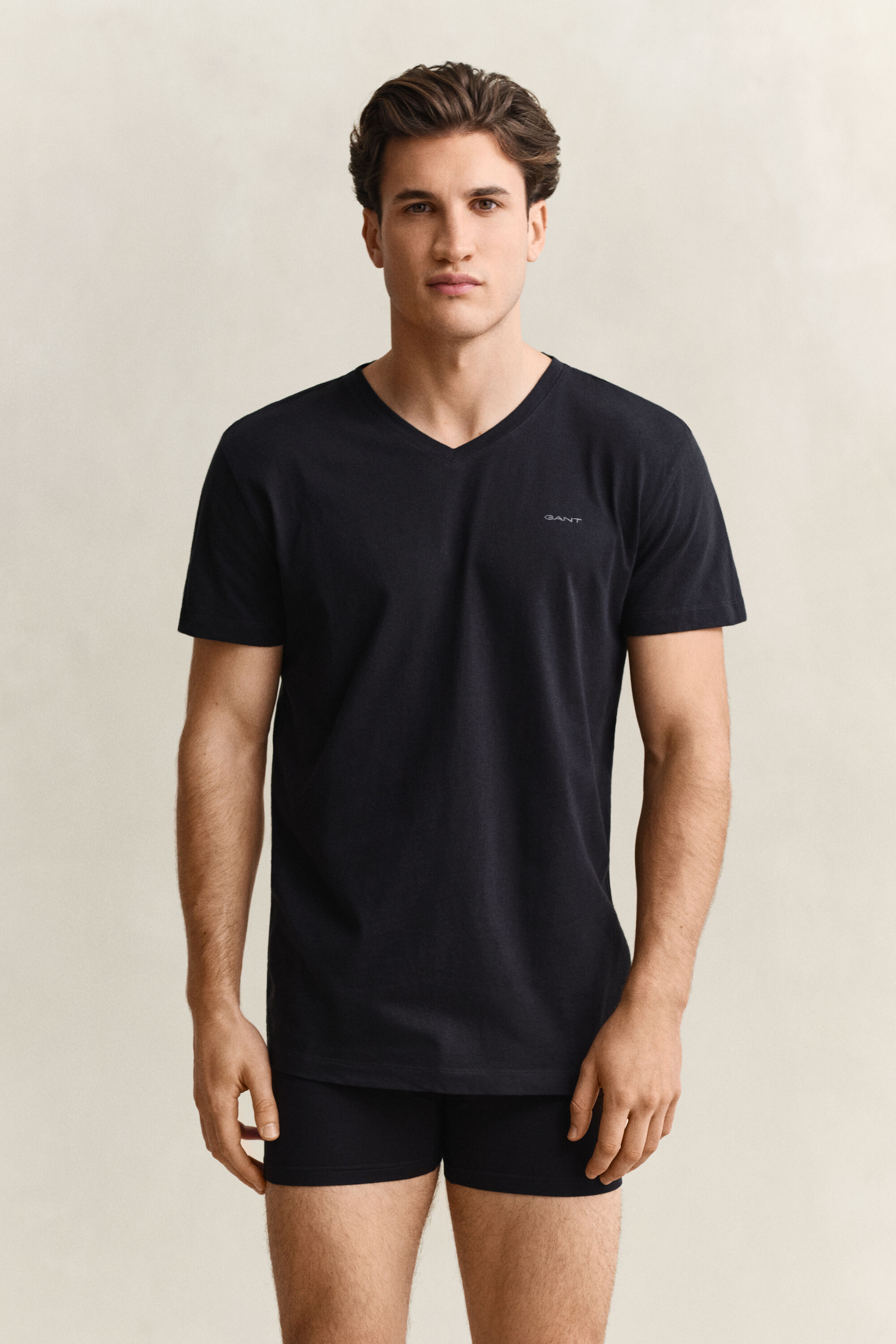 Tvåpack V-ringade T-shirtar