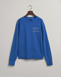 Teen Boys USA Graphic crew neck sweatshirt