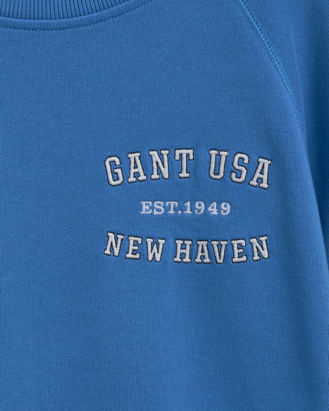 Teen Boys USA Graphic crew neck sweatshirt