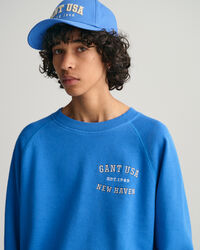 Teen Boys USA Graphic crew neck sweatshirt