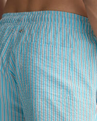 Classic fit badshorts i b&auml;ckeb&ouml;lja