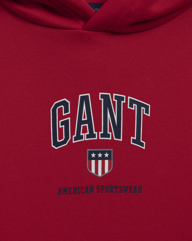 Teens Retro Shield hoodie