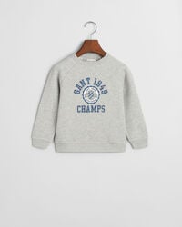 Kids Graphic rundhalsad sweatshirt