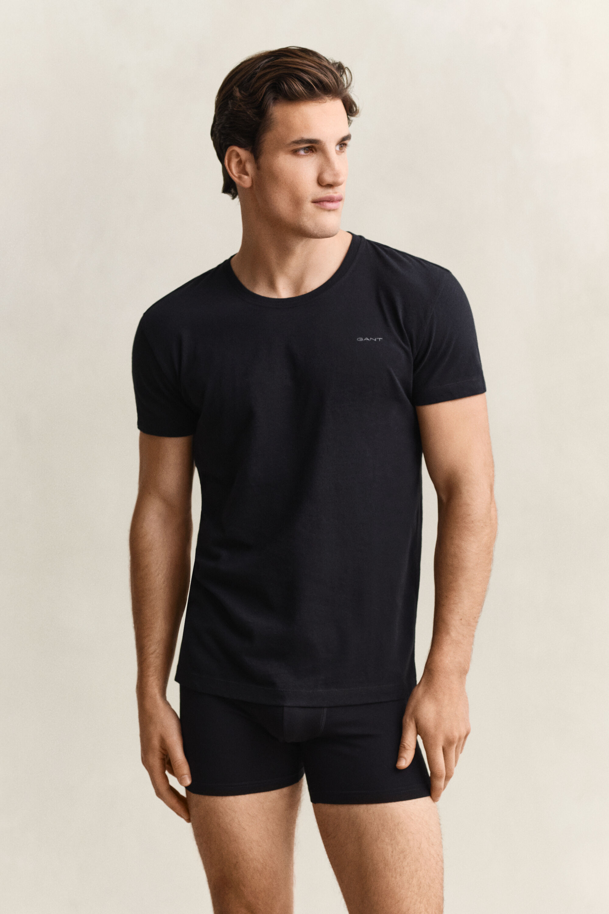 Tvåpack rundhalsade T-shirtar