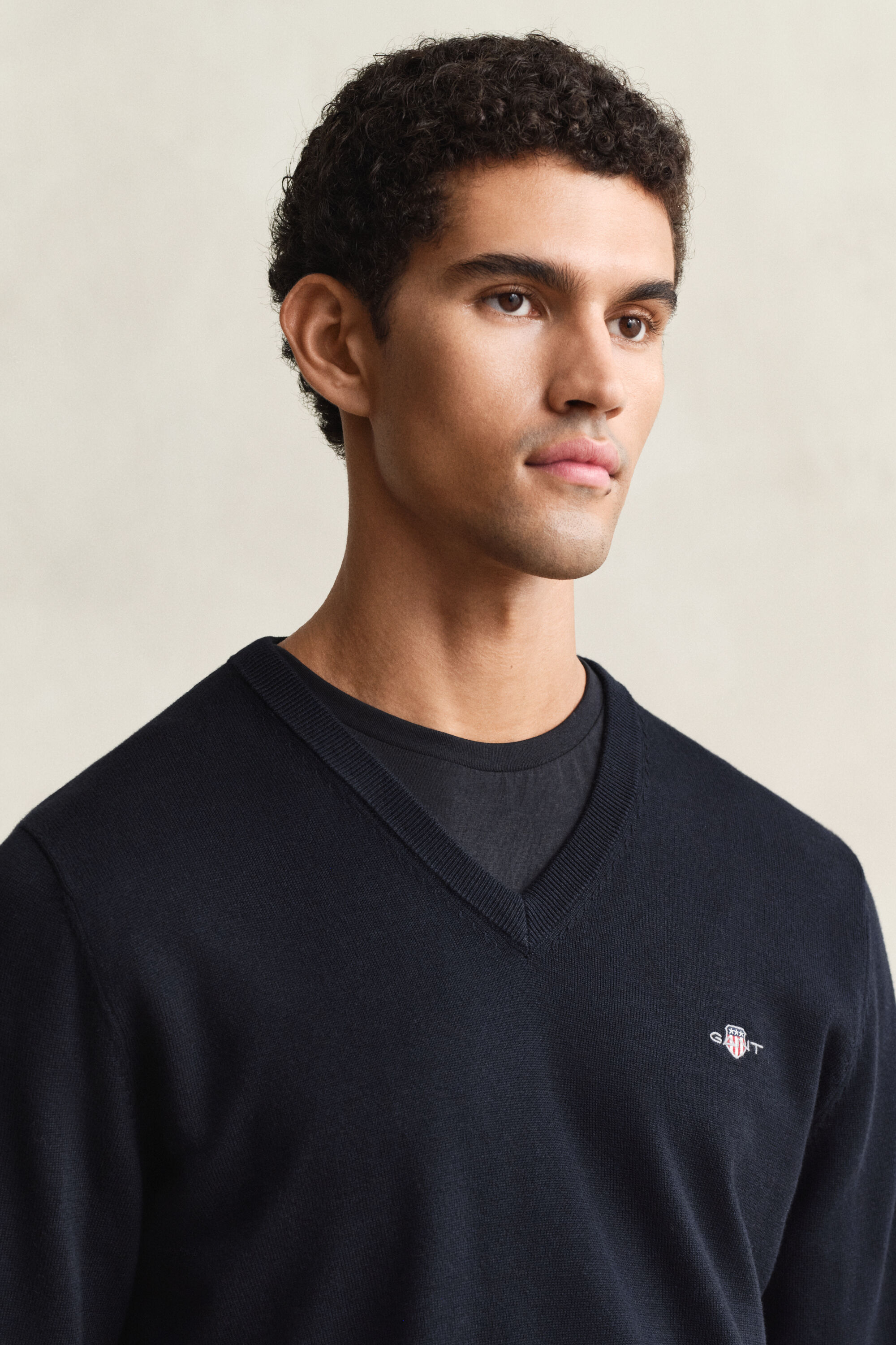 Klassisk V-ringad bomullströja