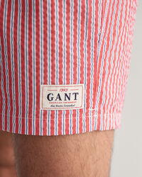 Seersucker Swim Shorts