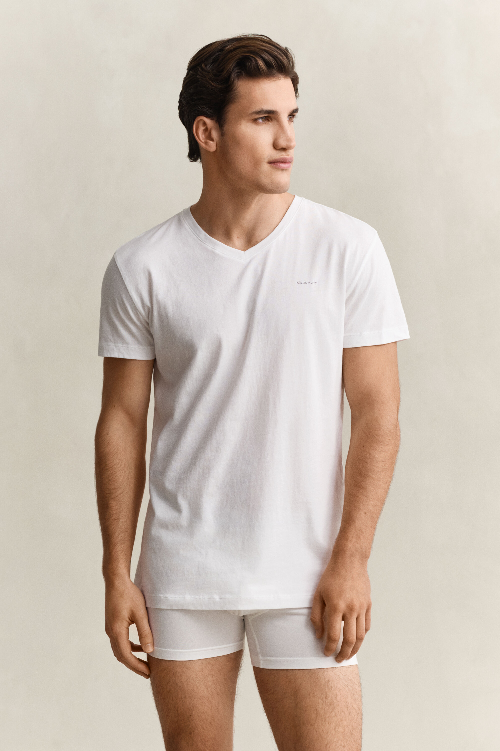 Tvåpack V-ringade T-shirtar
