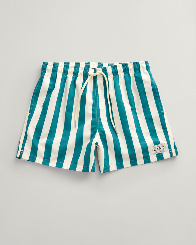 Block Striped Swim Shorts